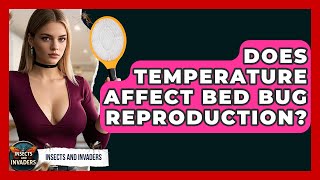 Does Temperature Affect Bed Bug Reproduction? - Insects and Invaders