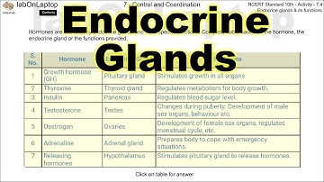 NCERT Class 10th Activity 7.4 | Control & Coordination | Endocrine Glands | labOnLaptop