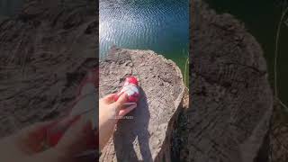 Ausgelegt - Wissens-Stein Nr.133