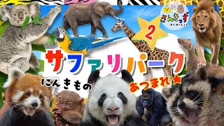 【子供向け 動物園アニメ】サファリパークへ行こう！part2★コアラ キリン レッサーパンダなど人気の動物たち20種類の動物の名前を覚えよう◎ 【うごく動物ずかん】動物の知育動画