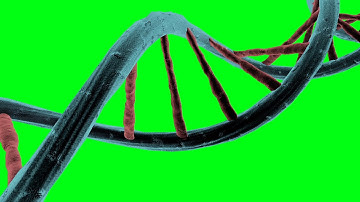 Green Screen Genetic Code DNA Structure Double Helix - Footage PixelBoom