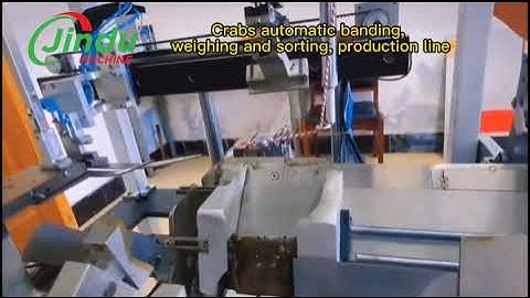 Revolutionize Your Crab Business with FAST Automatic Sorting!