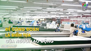 Để công đoàn là điểm tựa của người lao động  | Thái Nguyên TV