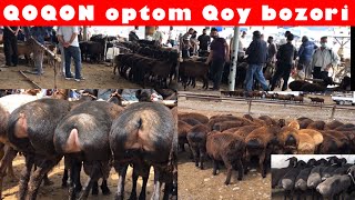 QOQON optom Qoy🐑 bozori. ☎️ nomerlari bilan