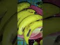 many bananas together.....yummmy.... #trending #food