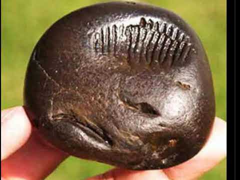 shaligram stone benefits in kannada