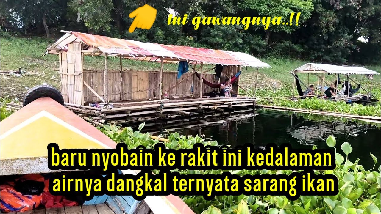 baru nyobain ke raki ini kedalamannya dangkal ternyata sarang ikan || mancing jatiluhur terbaru