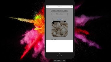Google Cloud’s Vision API