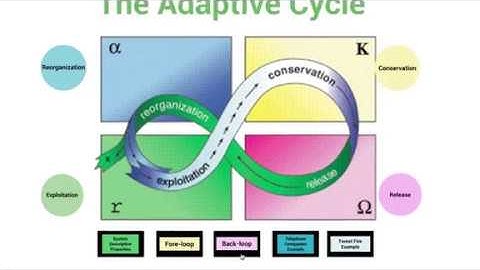 Ecology and Society: The Adaptive Cycle