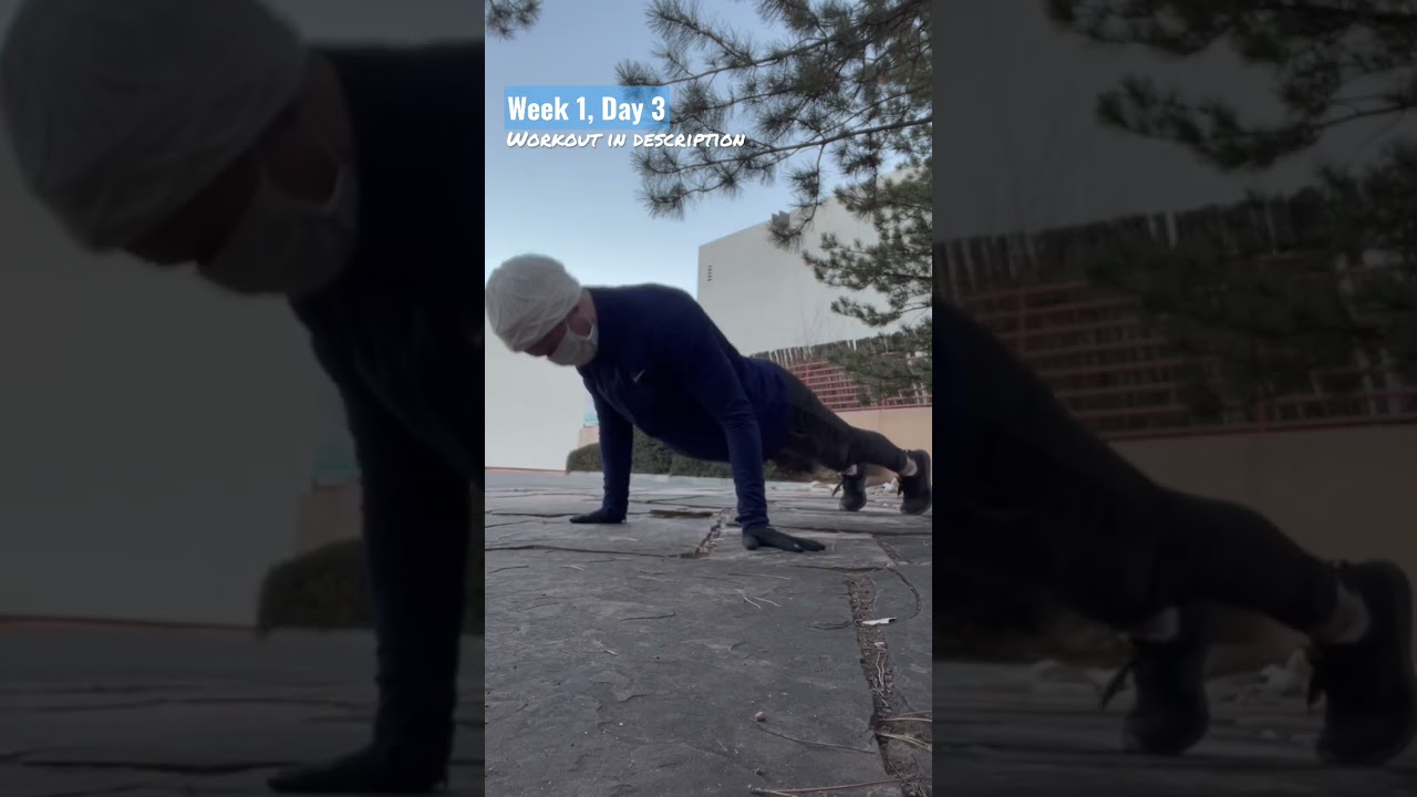 W1D3: Calisthenics Foundations