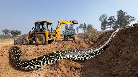 JCB 3dx Backhoe Maschine fully Loading Mud in Mahindra 475 JCB khudai work #jcb #jcbmitikhudai