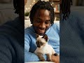 after conquering these 13 heart melting levels youll understand why kittens are the best healers