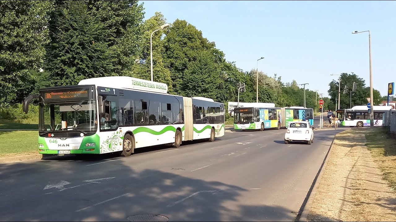 Egyetemi Különjárat; színes CNG-s MAN buszok Miskolcon