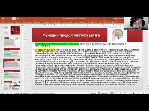 Функции спинного, продолговатого и среднего мозга, коры, ретикулярной формации, лимбической системы