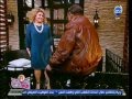ربع دستة ستات مفيد فوزي الواقعية في الافلام ليست العشوائيات وسعادة الازواج بالحب والتفاهم والود ربع دستة ستات مفيد فوزي الواقعية في الافلام ليست العشوائيات وسعادة الازواج بالحب والتفاهم والود