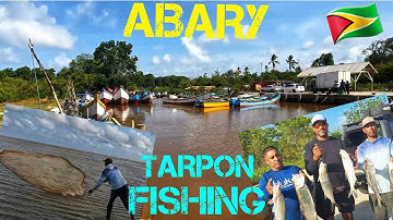 CATCHING TARPON (CUFFUM) IN ABARY GUYANA.