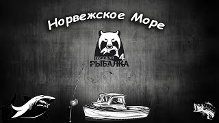 Стрим - Норвежское море фармлю серебро: 2 часть #pp4