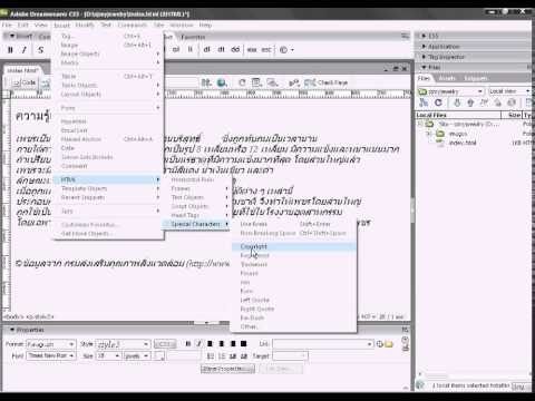 Dreamweaver CS3 หน่วยการเรียนรู้ที่ 2 เรื่องการแทรกสัญลักษณ์พิเศษ