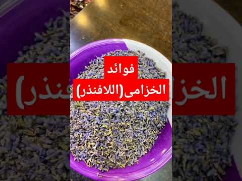 فوائد الخزامى اللافنذر