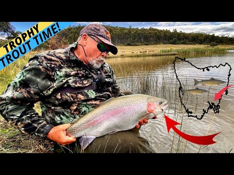 BEAST-SIZE TROPHY TROUT! (Have You EVER Seen Anything Like This?) 