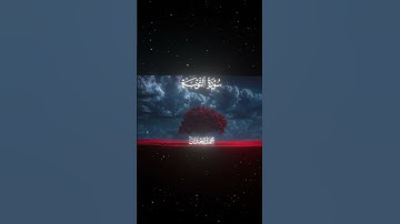 سورة التوبة|40|القارئ:#محمد_اللحيدان #قران #quran #قران_كريم #تلاوة #تلاوة_هادئة #آية #تلاوة_خاشعة