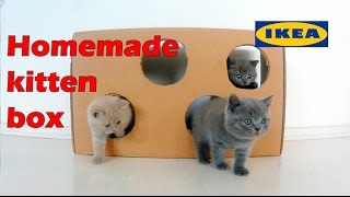 How to make a funny kitten toy out of a JÄTTENE Packaging box. Easy to make, less than 5 mins tutorial hack16.