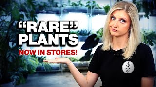 Rare Plants that are now AFFORDABLE!