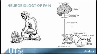 The Psychology of Resilience and the Associations with Chronic Pain