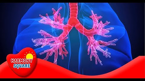 Breathing and Cellular Respiration - More Science on the Learning Videos Channel