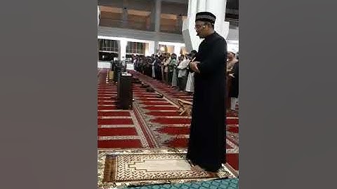 تلاوة هادئة للقارئ محمد نجيب بمقام الحجاز من سورة الحجر