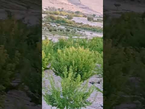 قال رسول الله ﷺ من ثابر على 12 ركعة صلوا على النبي الدعاء المستجاب اكسبلور صبرو ترند 