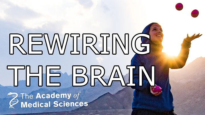 Rewiring the brain | Professor Heidi Johansen-Berg...