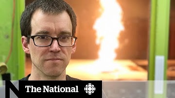 A look inside the world