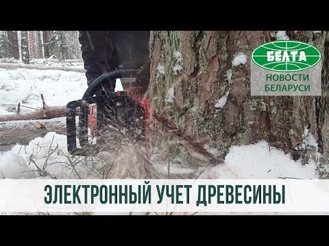 Электронная система учета