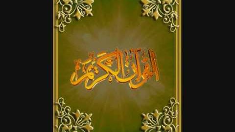 سورة فاطر صلاح الجمل