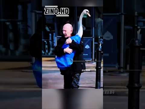 أنقذ هذا الرجل بجعة من الموت فردة له الجميل بطريقتها