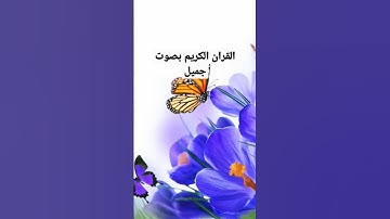 #quran القران الكريم بصوت جميل #love #subscribe #like