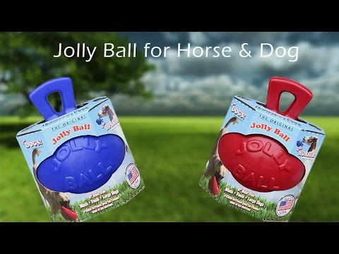 jolly-ball-for-dog-and-horse-(available-on-eurojoe)