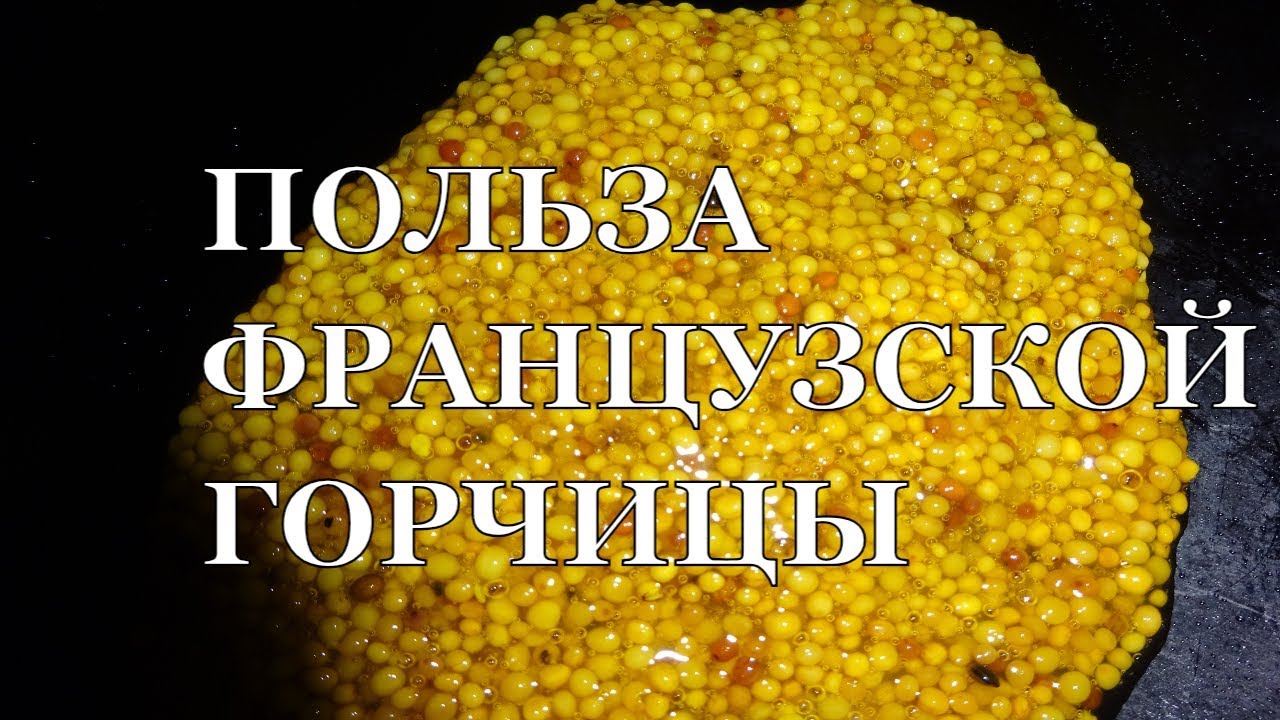 Французская горчица и вся ее польза - YouTube