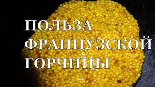 Французская горчица и вся ее польза