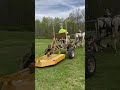Mules in training from Arkansas