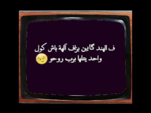 statu dz youtube