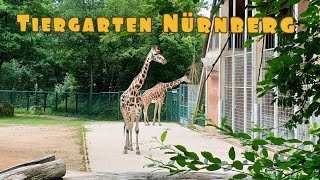 Exploring Tiergarten Nürnberg, Germany | Nuremberg Zoo