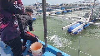 27092025 Trip Mancing At Sangkar Sungai Udang Penang