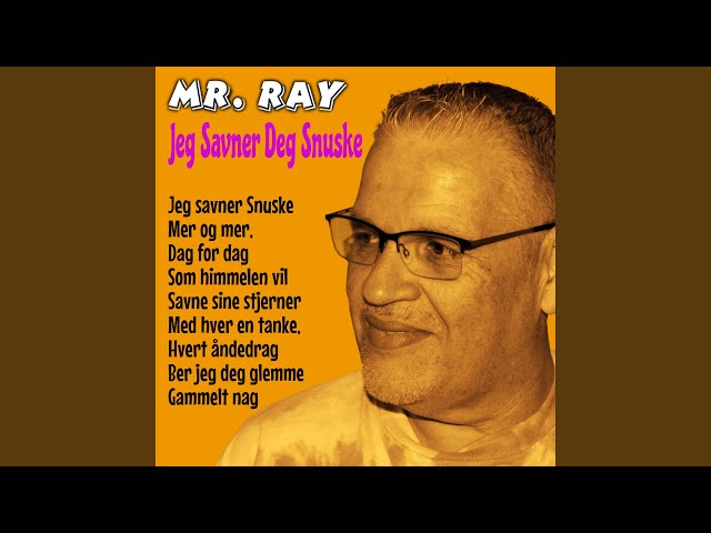 Mr. Ray - Jeg savner deg snuske