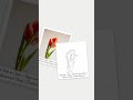 Red Tulip in Light – Beginner Colored Pencil Botanical Study | Digital Download