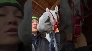 Horse Disapproves Owner Kisses Then Teases Her