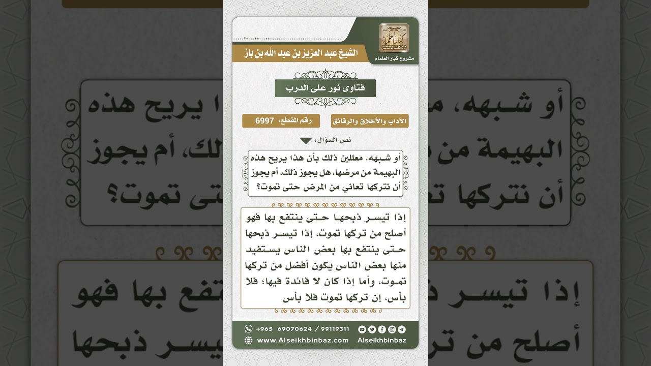 6997 - حكم ذبح الماشية التي يخشى موتها - نور على الدرب