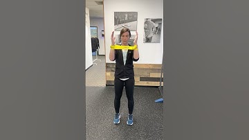 Theraband Serratus Slides