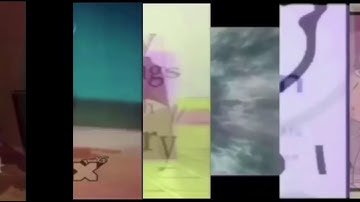 24 shuric scans with are slides my scans videos version